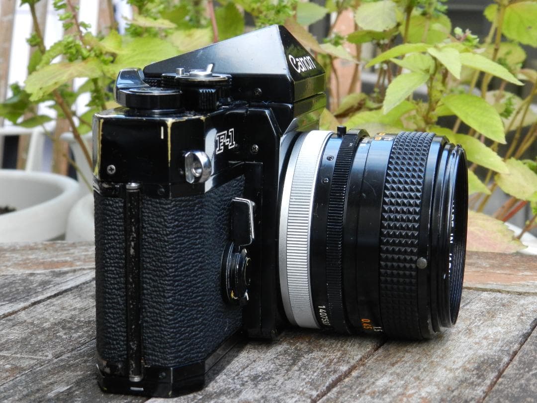 美品　Canon F-1+50mm 1.4 ssc S.S.C 即撮影可