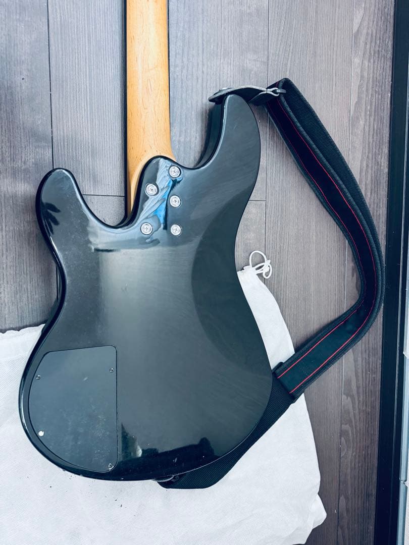 アイバニーズ　GIO N427