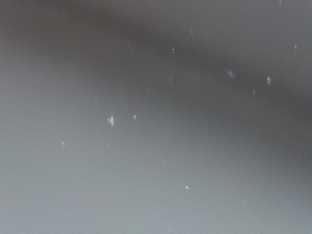 Cellularモデル iPad 第8世代 32GB Silver