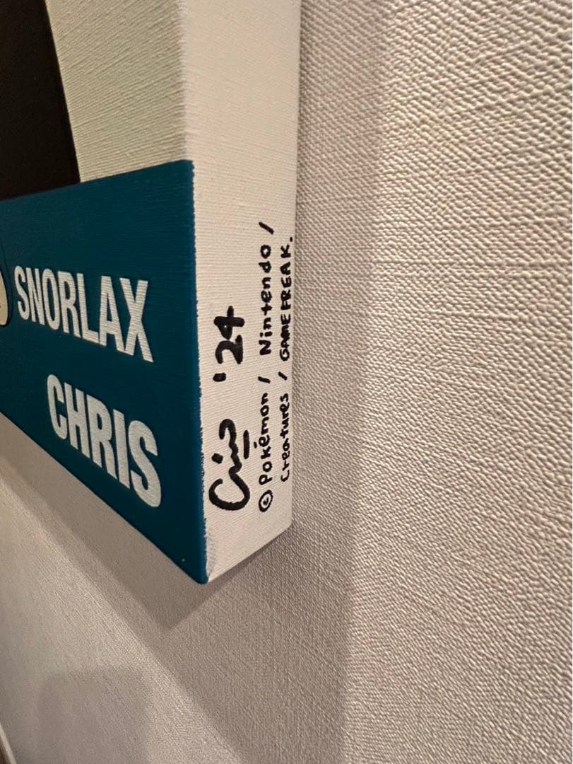 【貴重】CHRIS meets KABIGON CHRIS#11 ポケモン