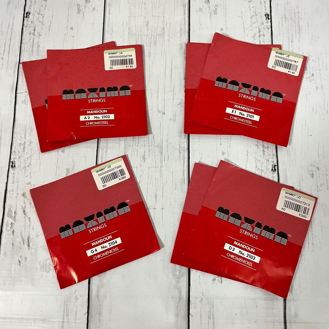 SUZUKI M-30 マンドリン 本体 ハードケース 弦 ピック付き！