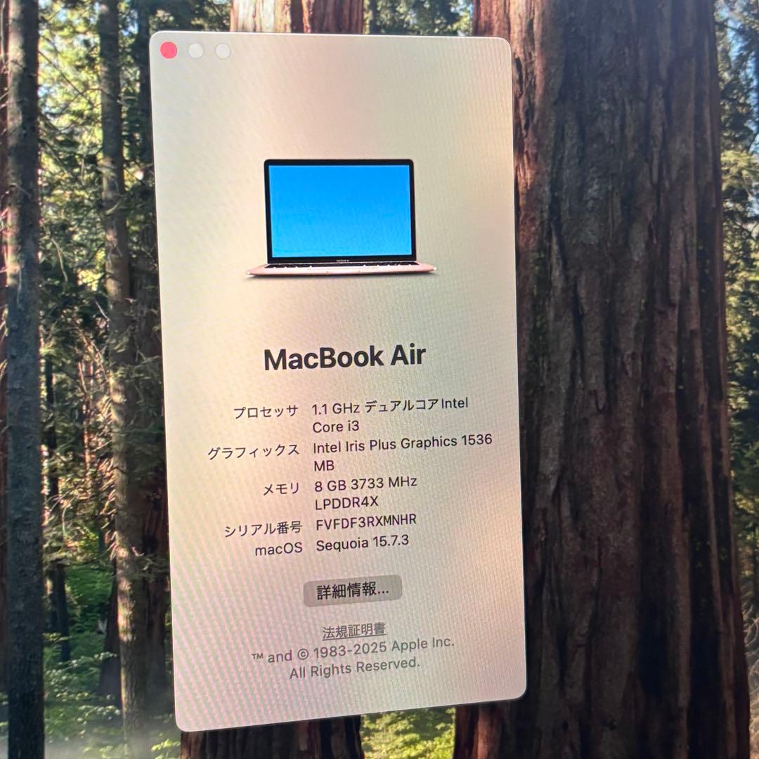 【美品】MacBook Air 13インチ 2020 Intel Core