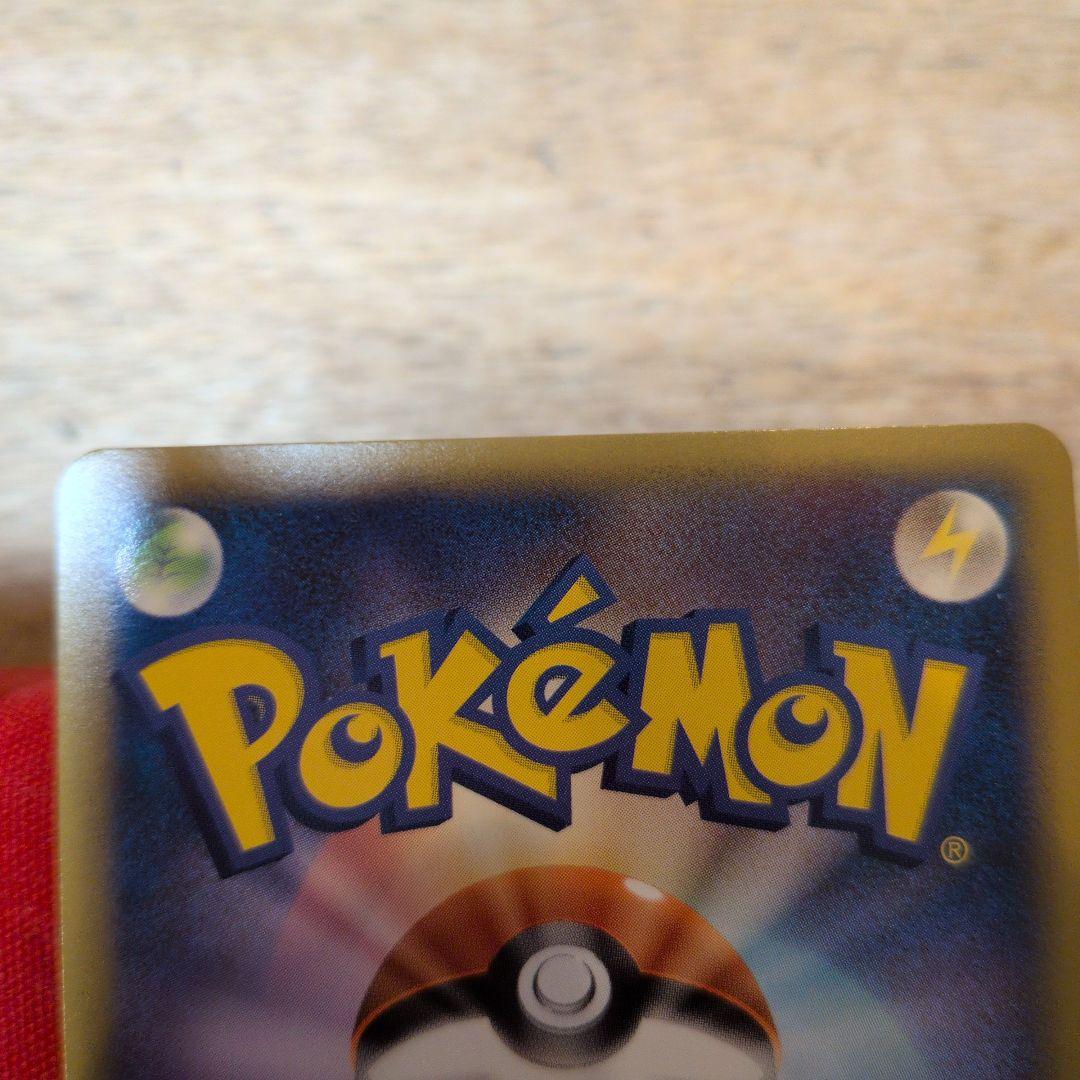 ピカチュウワールド アメリカ韓国ポーランド日本