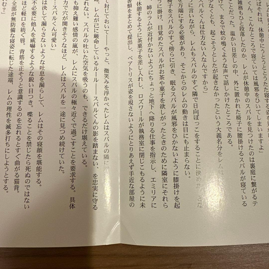 ★即時発送、Re:ゼロから始める異世界生活、レムの乙女心は超複雑★