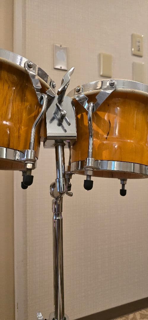 Zenn ボンゴ　ゼン スタンド付き