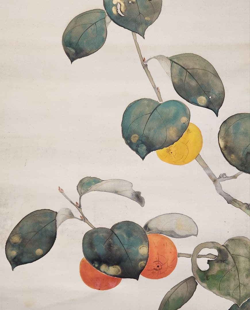 【柿に鳥(実の秋)図】永田春水 2663 カキ 共箱 掛け軸 肉筆