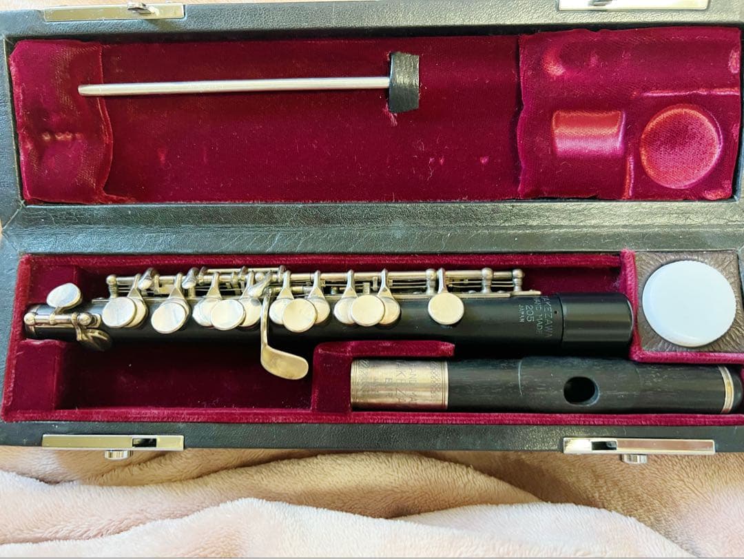 タケザワ　ピッコロ　205 EVR