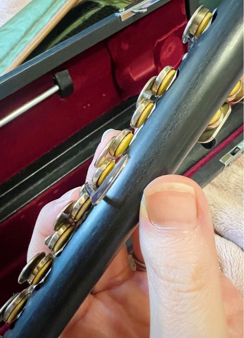 タケザワ　ピッコロ　205 EVR