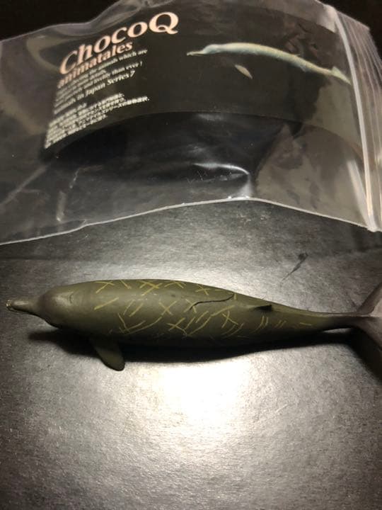 チョコQ第7弾ツチクジラ