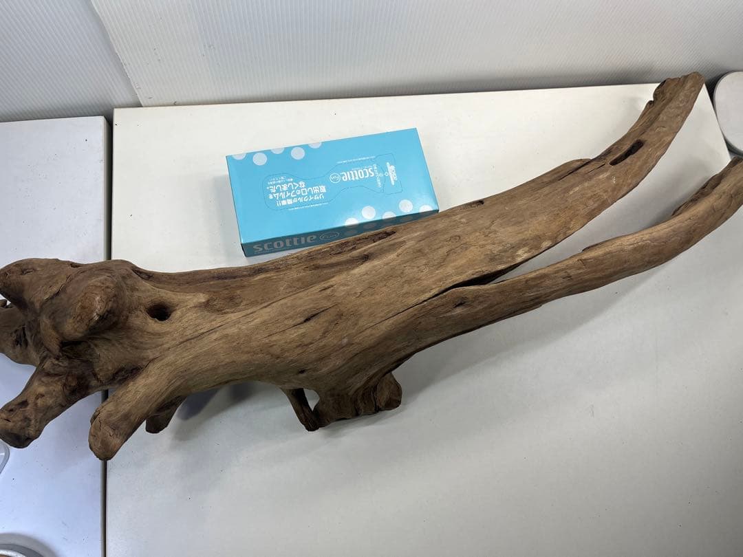 W27特大流木 アク抜き済み流木 爬虫類シェルター 登り木 インテリア 生け花