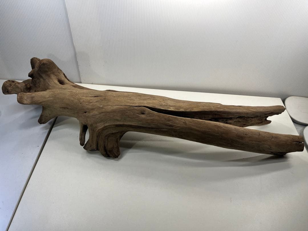 W27特大流木 アク抜き済み流木 爬虫類シェルター 登り木 インテリア 生け花