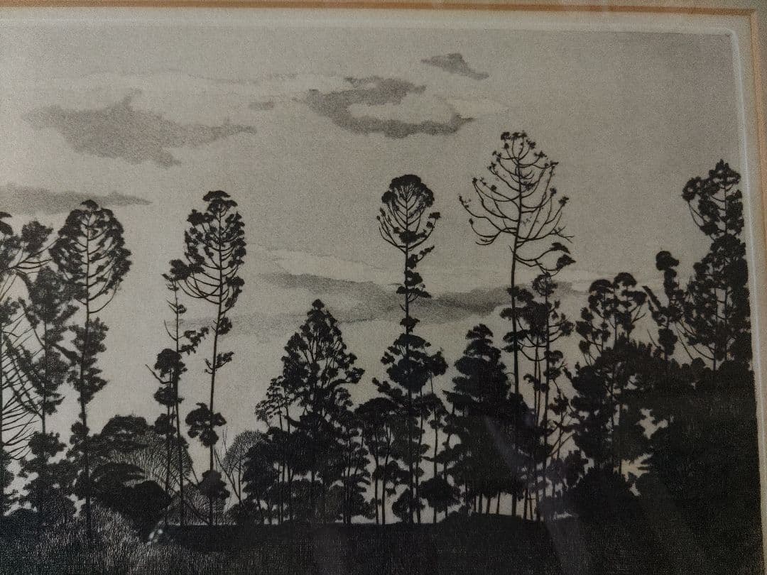 版画？　林の風景　作者S.Okamoto　サイン有り　繊細な樹木　額入り