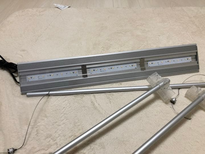 ADAその他多数 水槽引退 一部売却済み