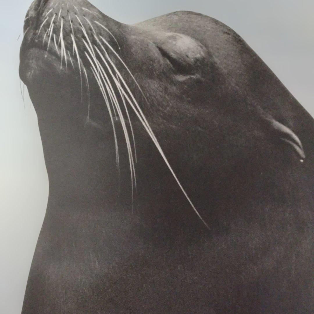 濱谷浩展 ポスター 写真体験60年