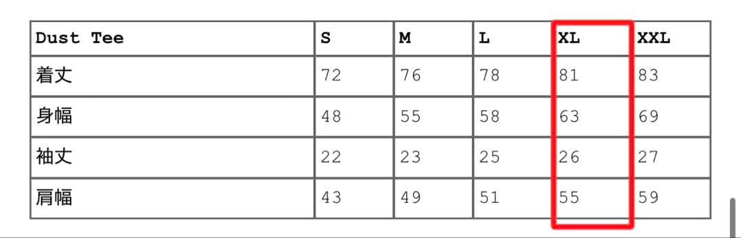 【長谷川】 supreme Dust Tee Tシャツ XL