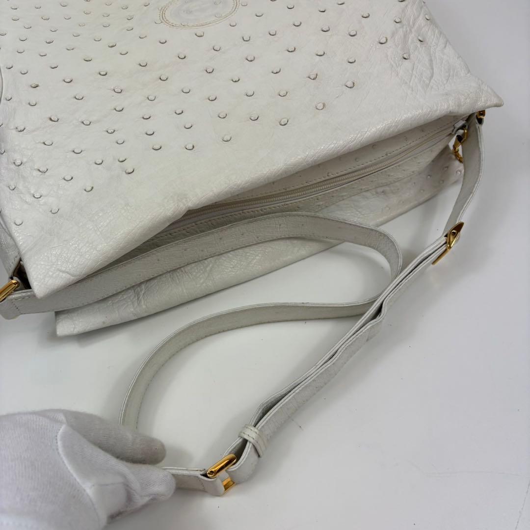 【希少】GUCCI ショルダーバッグ インターロッキング 金具 オーストリッチ