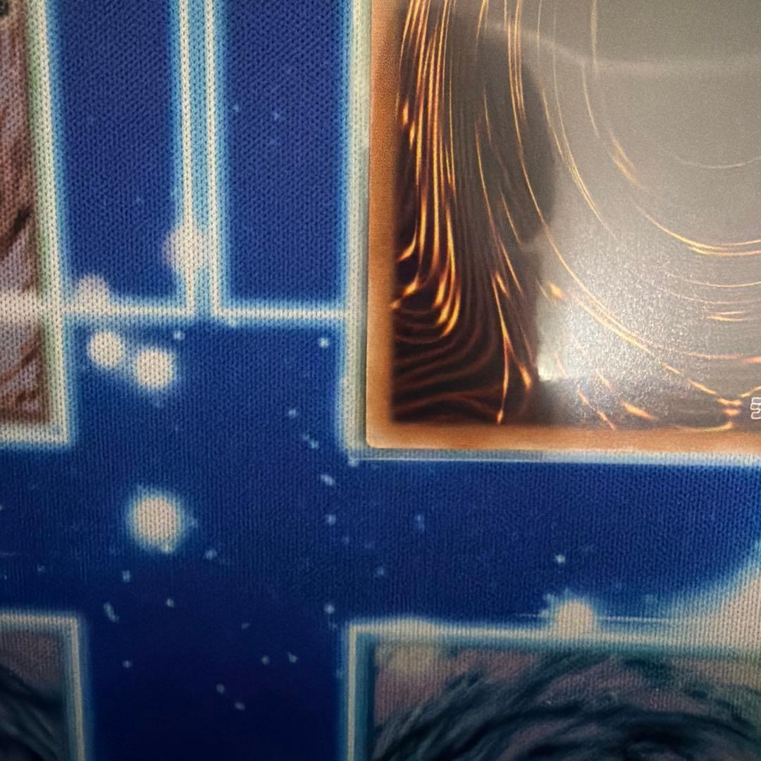 ガーデン・ローズ・メイデン　絵違いプリシク