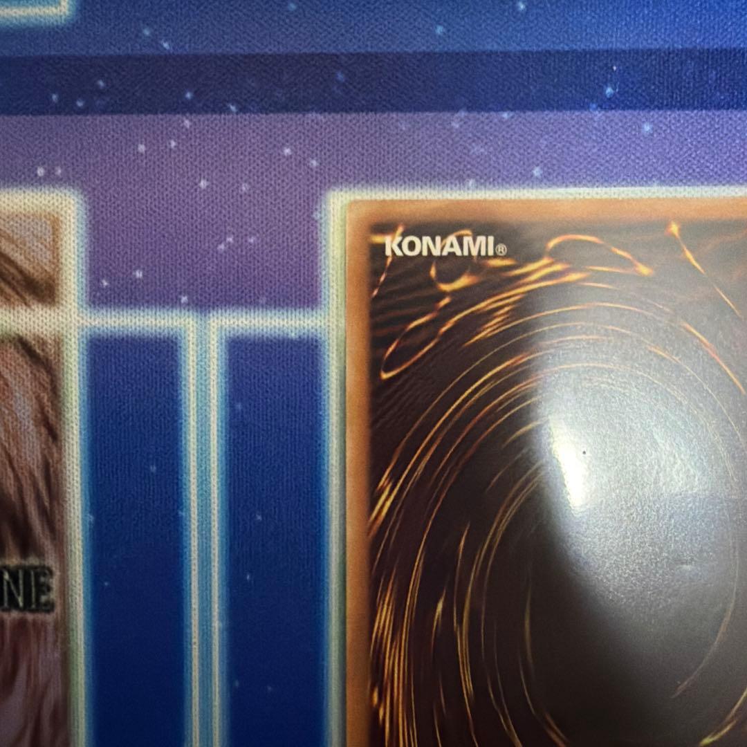 ガーデン・ローズ・メイデン　絵違いプリシク