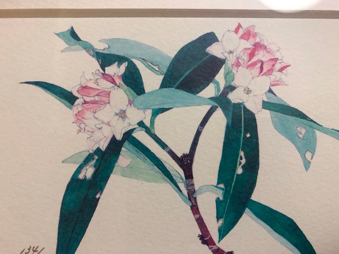 外山康雄  版画　その②  沈丁花