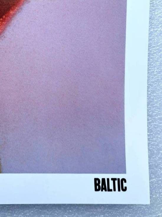 奈良美智　ポスター　2点セット　大人気画家　(村上隆　草間彌生)