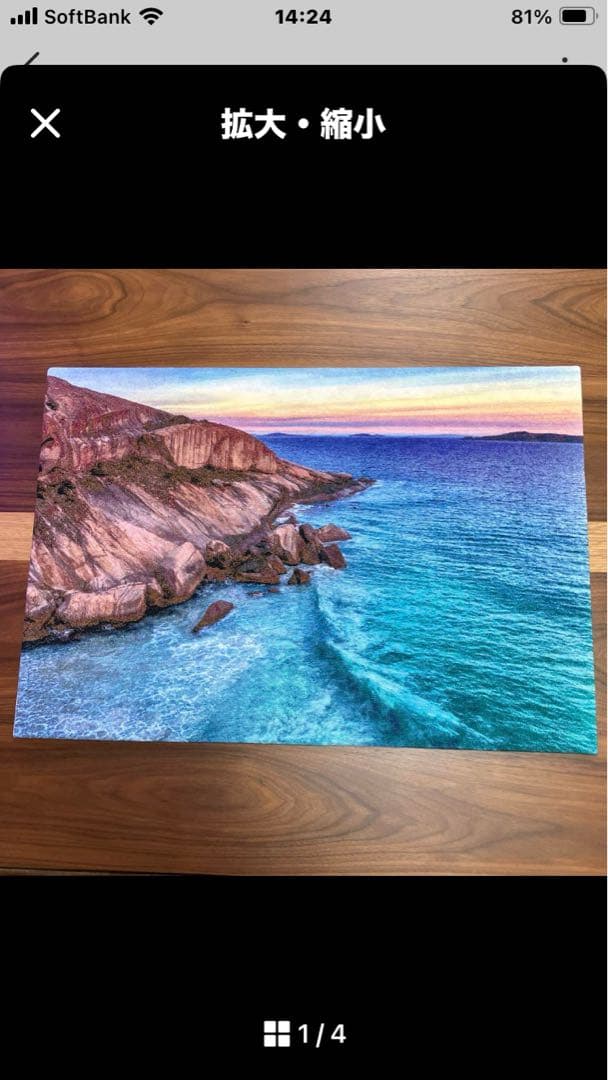 財前さま専用です。