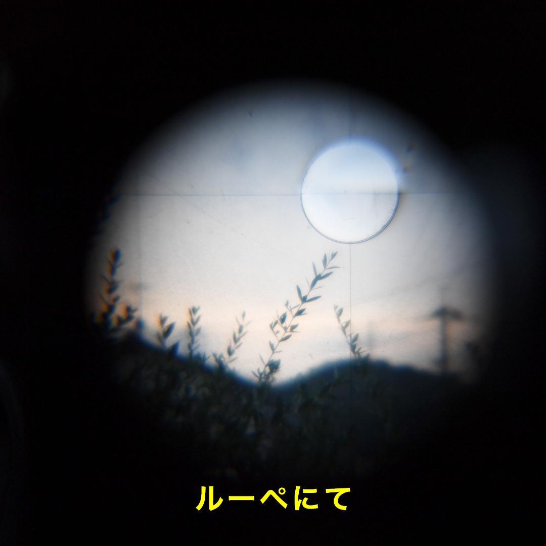 オーバーホール済 ROLLEIFLEX Planar f3.5 ホワイトフェイス