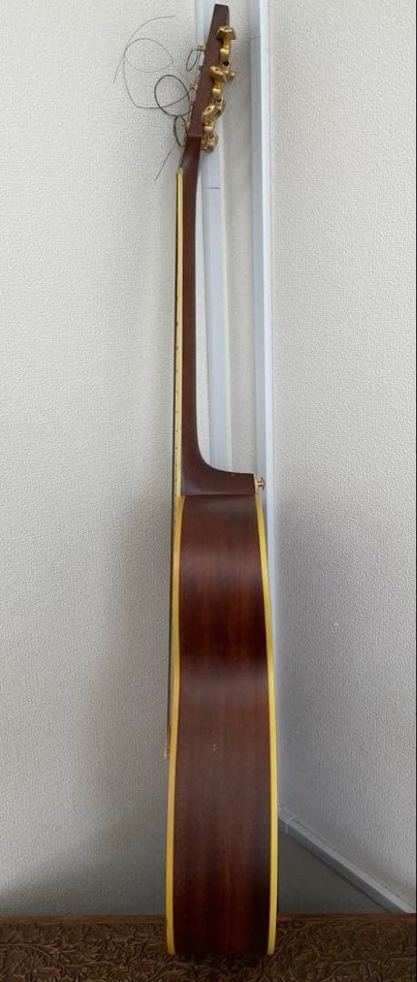 【E】Ibanez Art Wood RLGツリーオブライフインレイ ケース付き