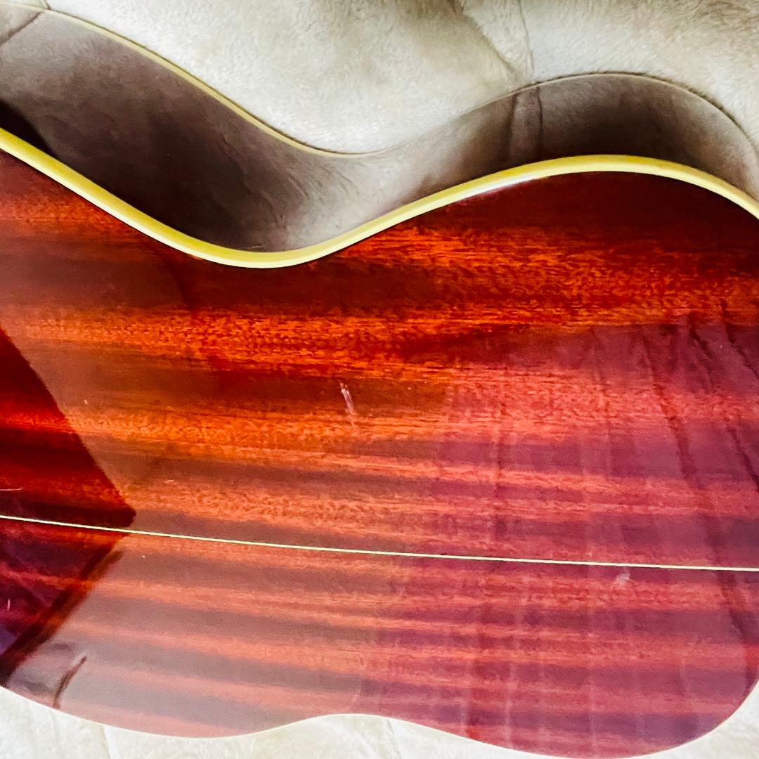 Ibanez アコースティックギター AC38-HS ツリーオブライフ