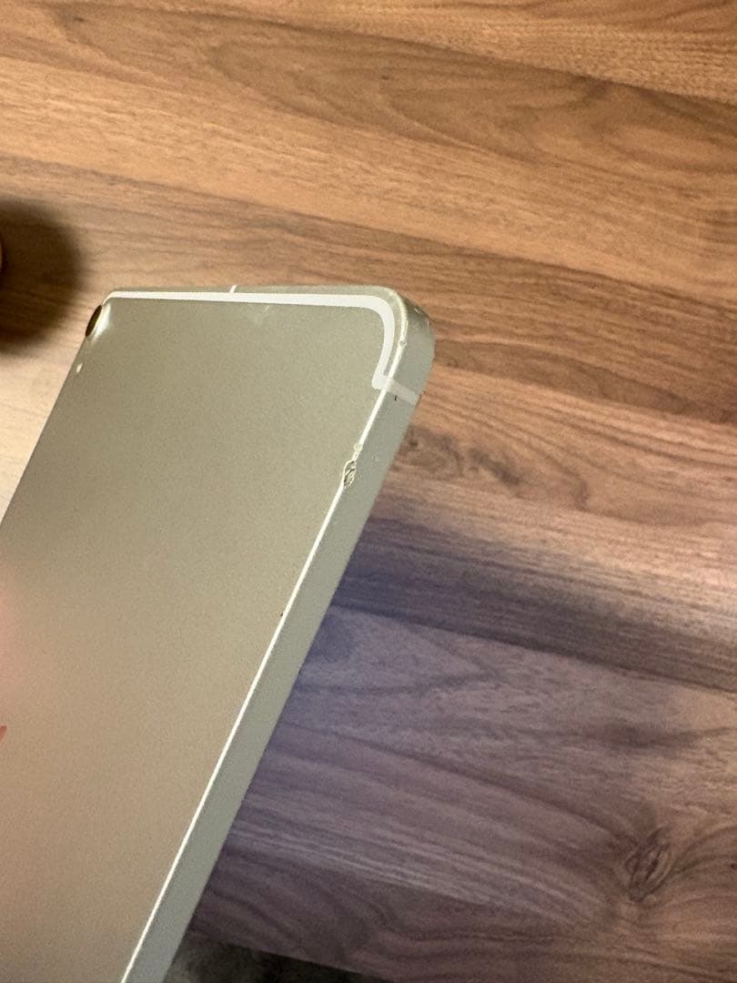 iPad Pro (11インチ) cellular 64Ｇ　藤本様