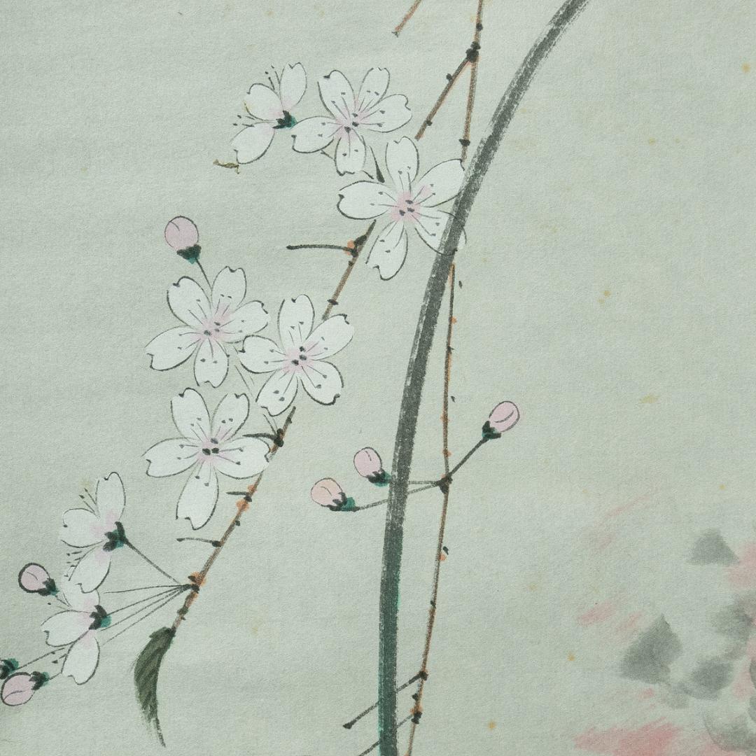 掛軸-1728　東福寺　西部文浄　夜桜画賛　共箱