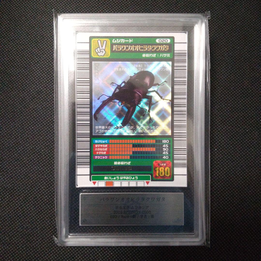 パラワンオオヒラタクワガタ 2003 SUMMER 夏 ARS9