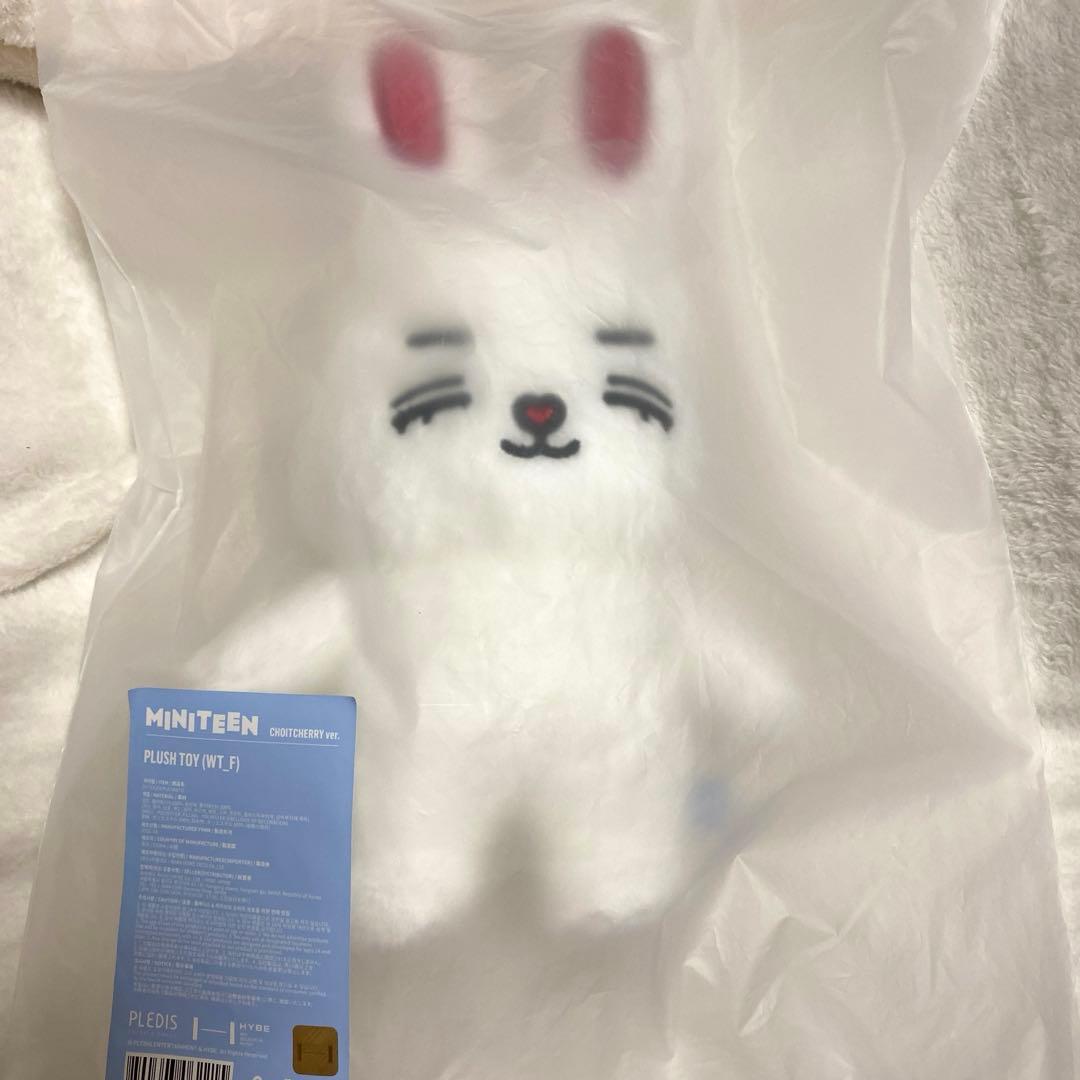 seventeen エスクプス miniteen チェチェリー ぬいぐるみ