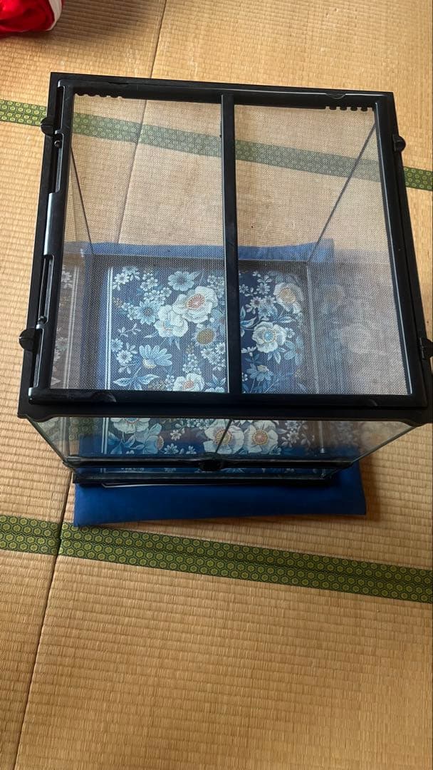 ガラス製 爬虫類 両生類 飼育ケージ エキゾテラ 4545