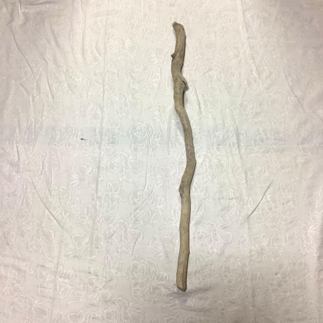 流木約80cm 艶あり美しい