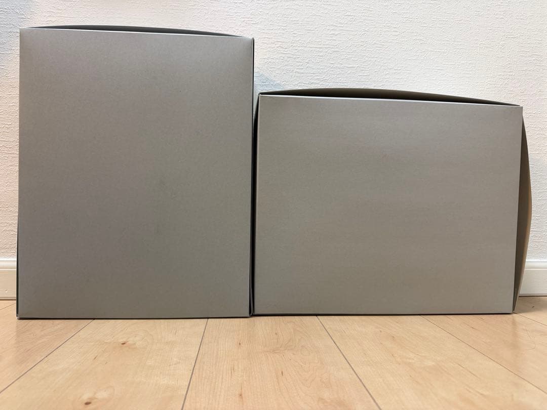 限〜1/17ガンプラ2体セット