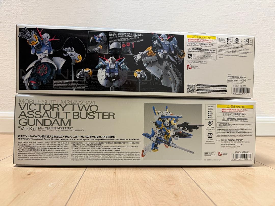 限〜1/17ガンプラ2体セット