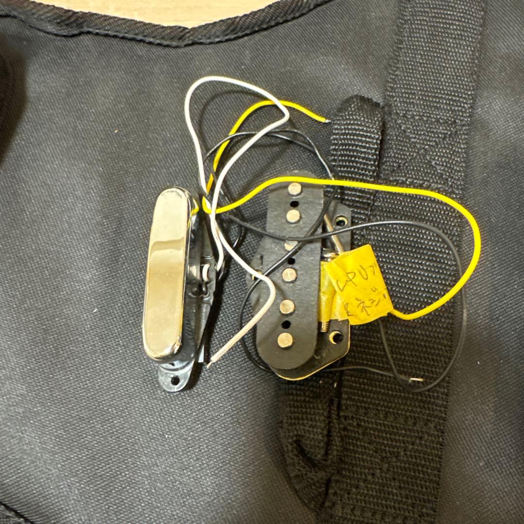 Bacchus テレキャスター 改造 Rio Grande搭載 時雨TK系