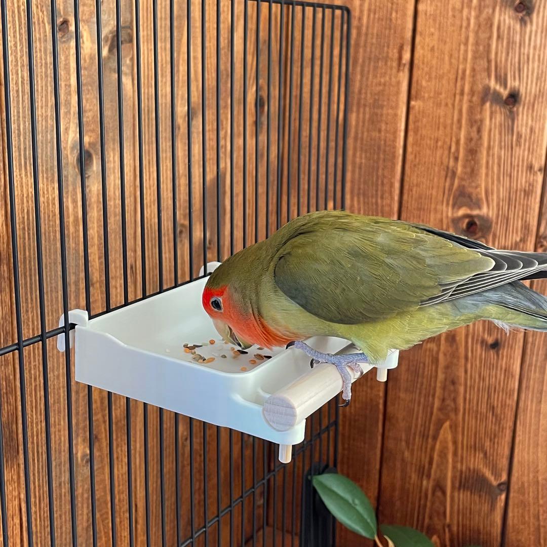 【○】広くて浅いバード食器　他おまとめ　8670