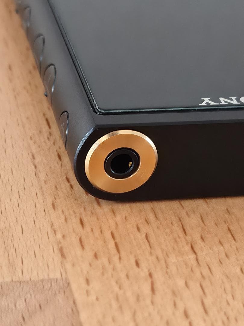 SONY ウォークマン NW-ZX507　専用レザーケース＋おまけ付き