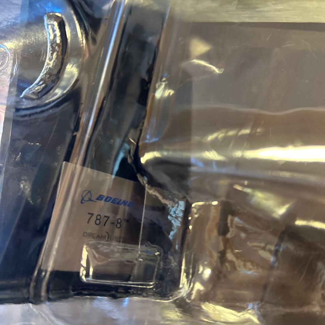 PACMIN パックミン｜B787-8 ハウスカラー　1/144 飛行機模型