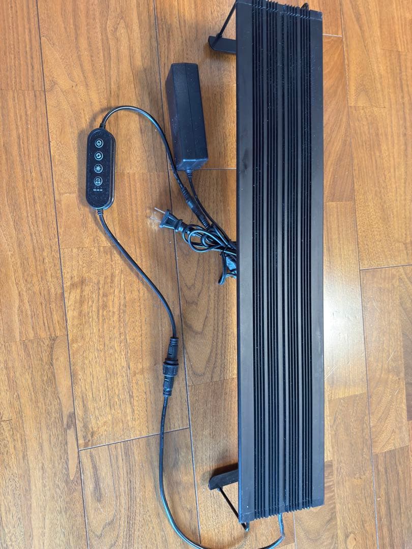 ボルクスジャパン　Ｇｒａｓｓｙ　Ｌｅｇｎａ　Ｍａｒｉｎｅ　６０　タイマー付き