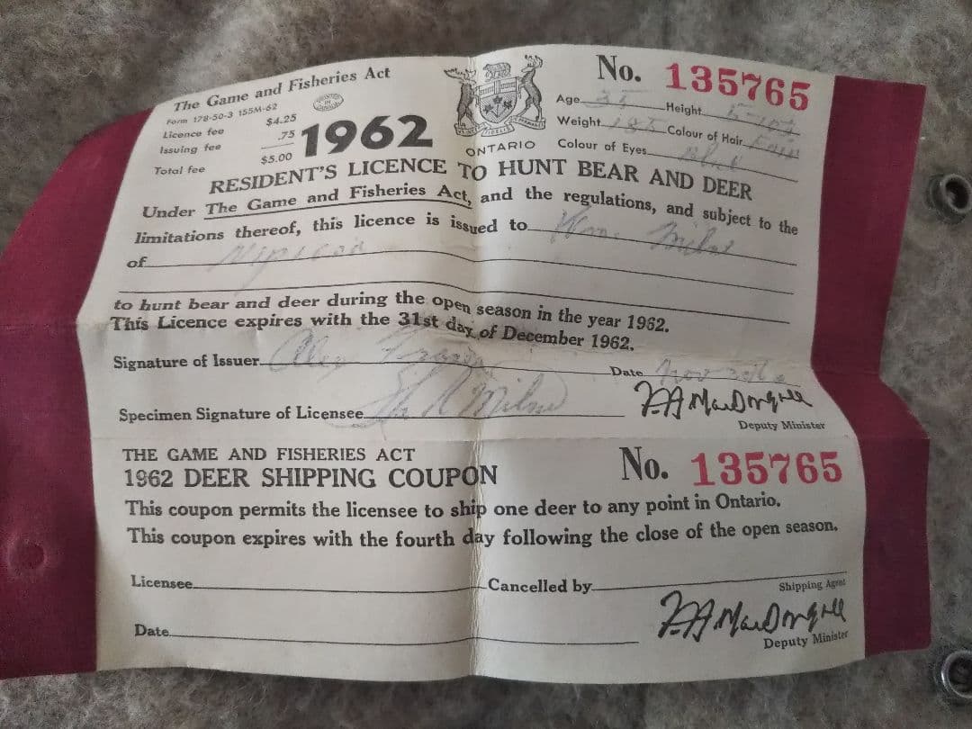 50s ヴィンテージ マッキーノ レア