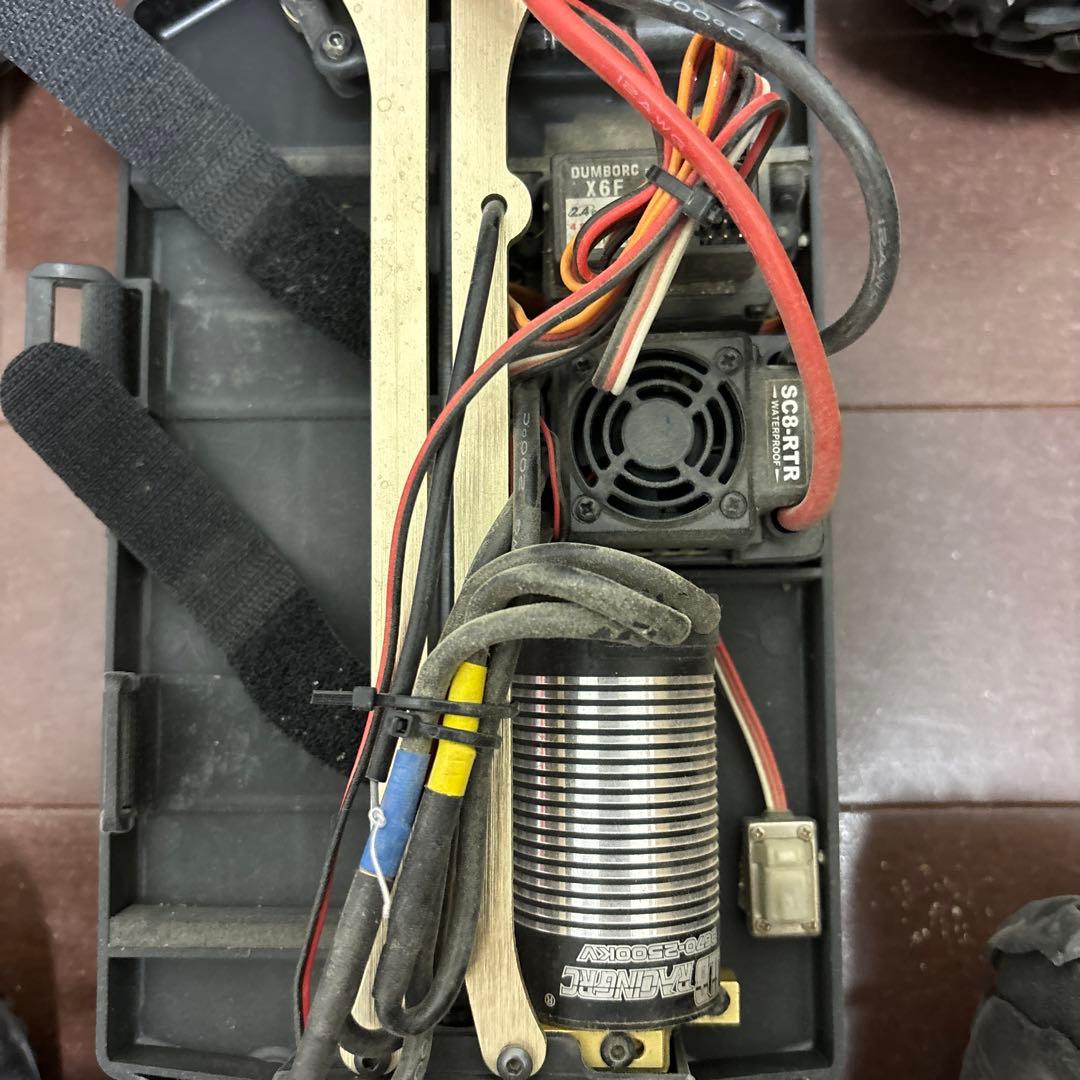 jlb21101チーター　レース