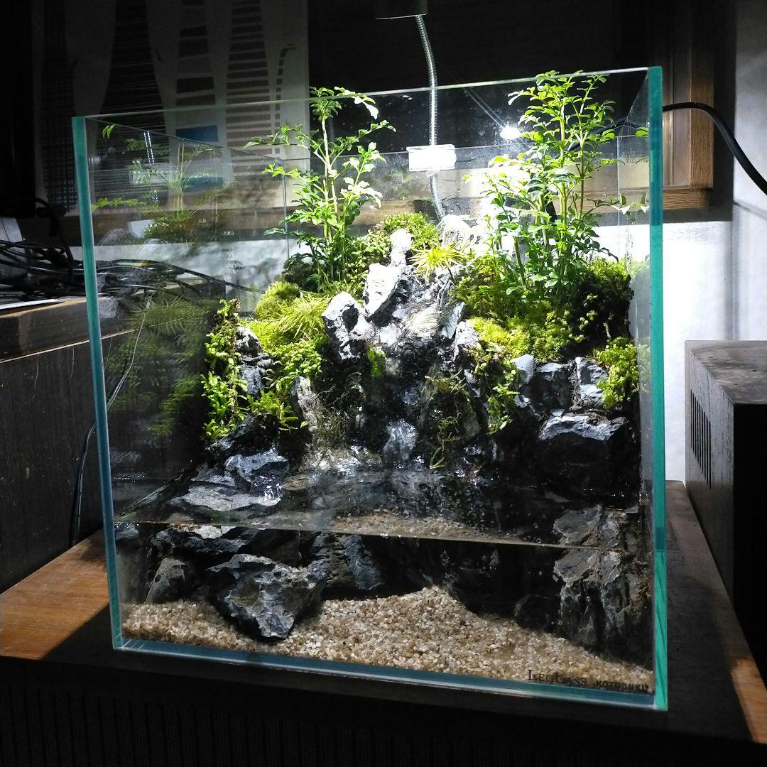 滝の流れるアクアテラリウム　水槽手前かけありの為お値下げしております。