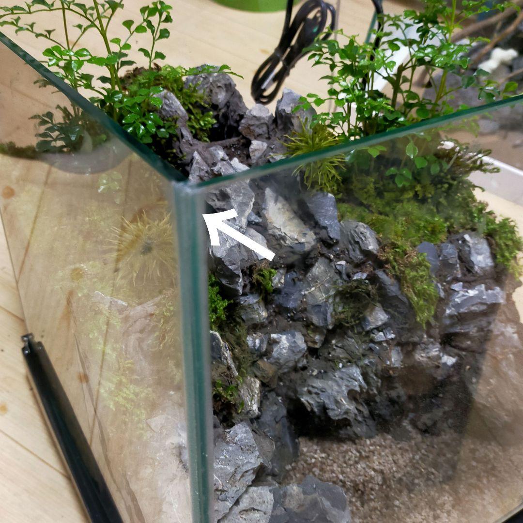 滝の流れるアクアテラリウム　水槽手前かけありの為お値下げしております。