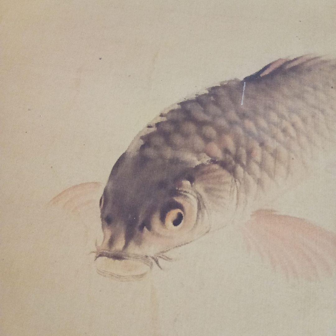 【真作】 鯉の光達 森田光達　(雙鯉之図・養生箱)