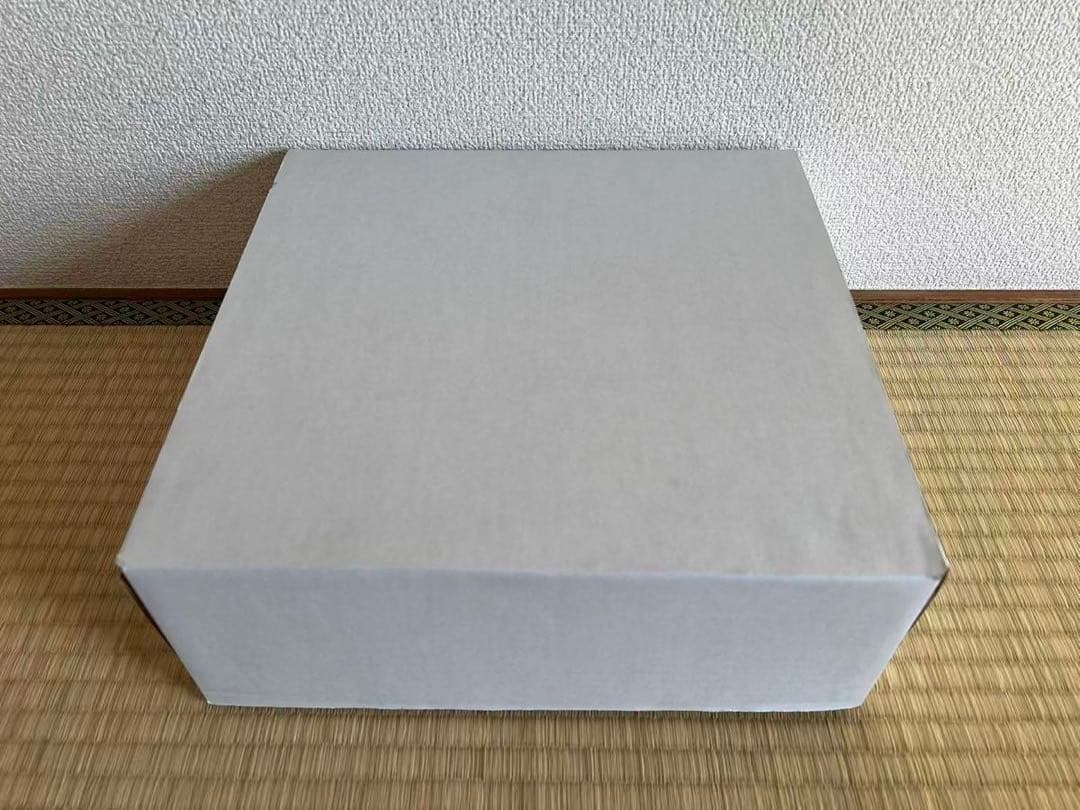 JC Wings 全日本空輸 ANA 1:200 B787-8 JA874A