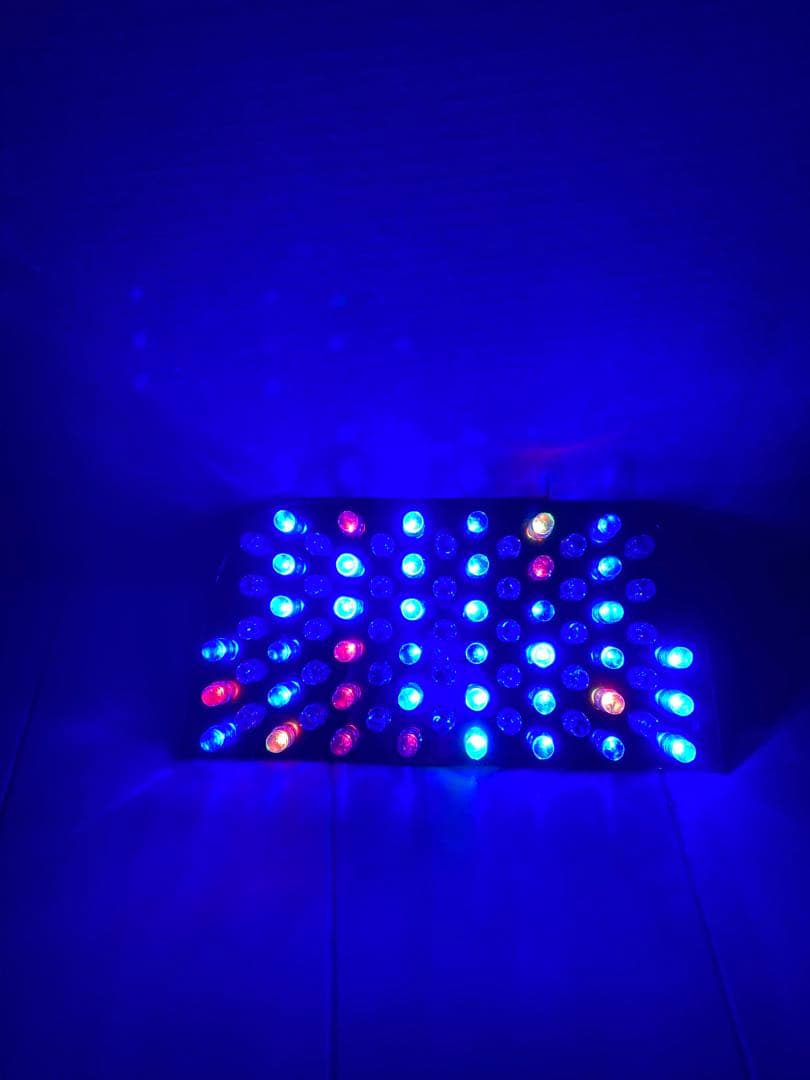 AF34 AF35 ライブディオ ZX オリジナルRGB LEDテール