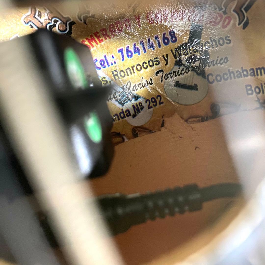 Chaska エレキチャランゴ ボリビア製 希少 レア イコライザー ケース付き