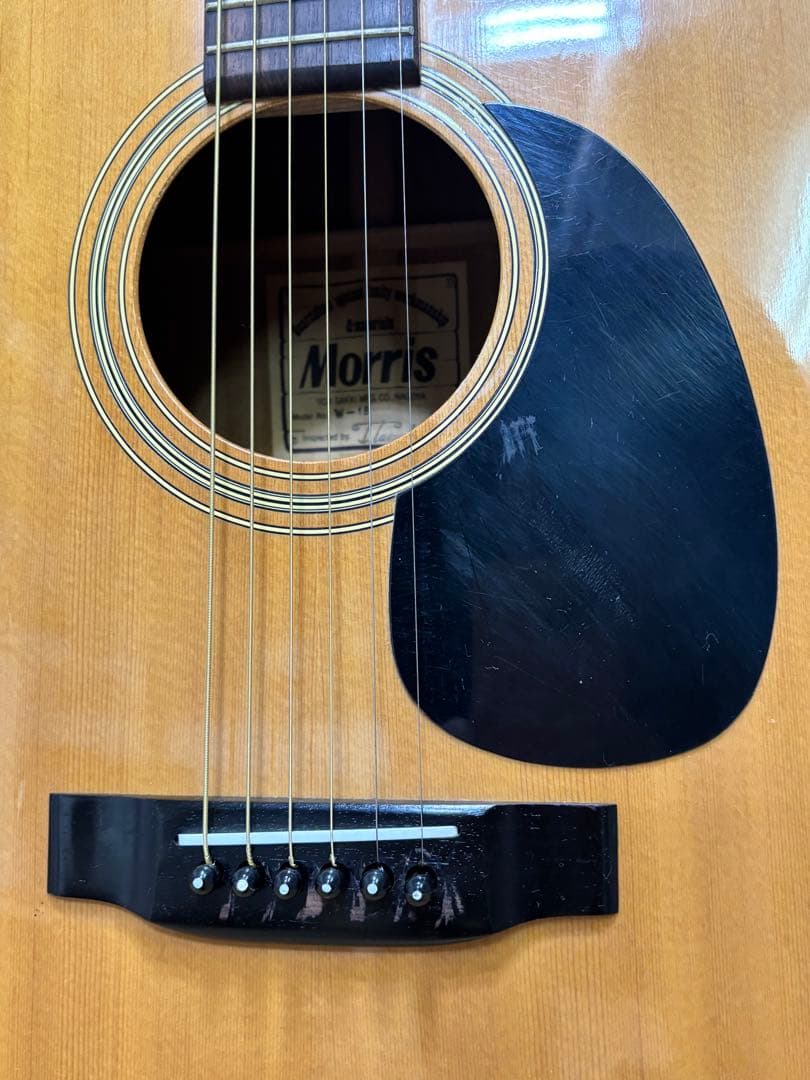 Morris モーリス W-18 アコースティックギター